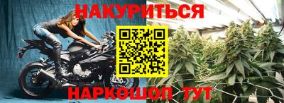 стаф Малгобек
