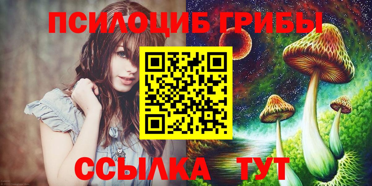 Галлюциногенные грибы прущие грибы Орехово-Зуево
