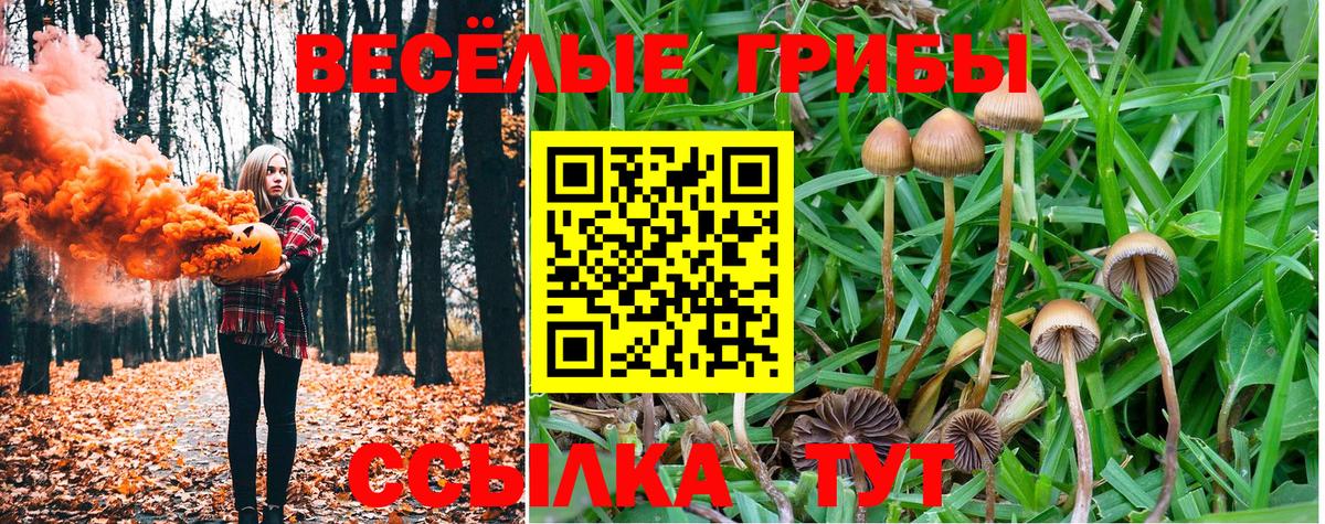 Галлюциногенные грибы прущие грибы  Галлюциногенные грибы Psilocybine cubensis  Вход с VPN  Орехово-Зуево 