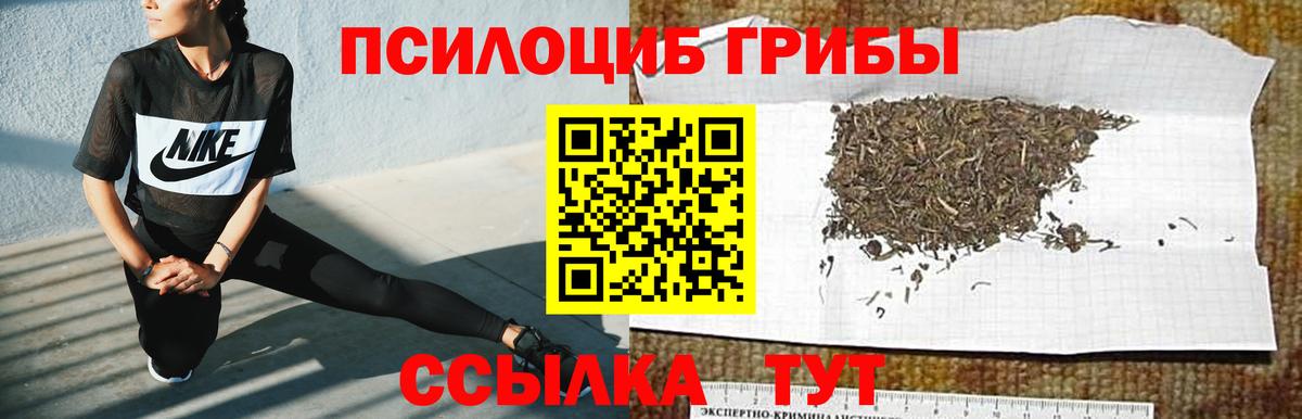 Галлюциногенные грибы MAGIC MUSHROOMS  Вход с VPN  Орехово-Зуево  где продают   Галлюциногенные грибы Psilocybine cubensis 
